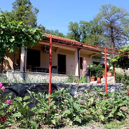 Holiday Home Gazevic Virpazar Extérieur photo