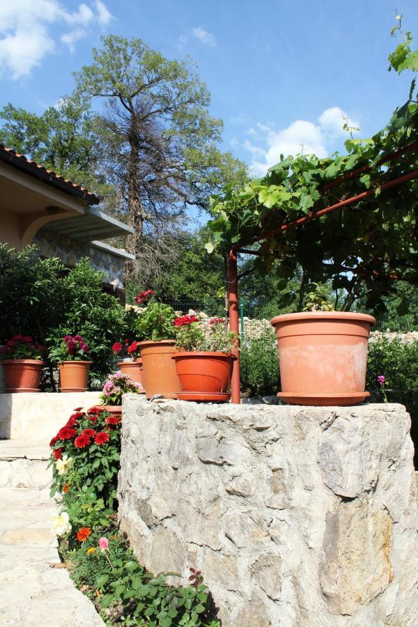 Holiday Home Gazevic Virpazar Extérieur photo