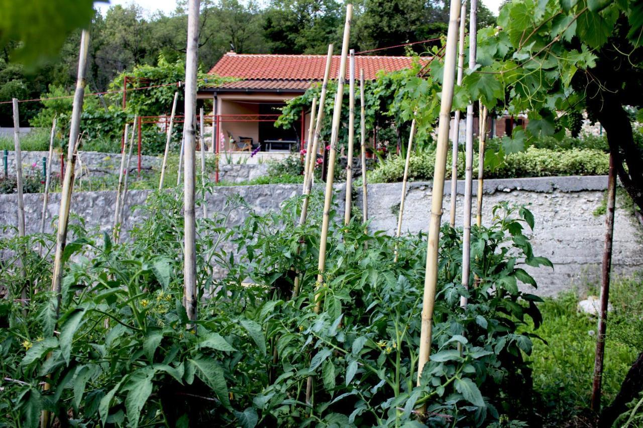Holiday Home Gazevic Virpazar Extérieur photo
