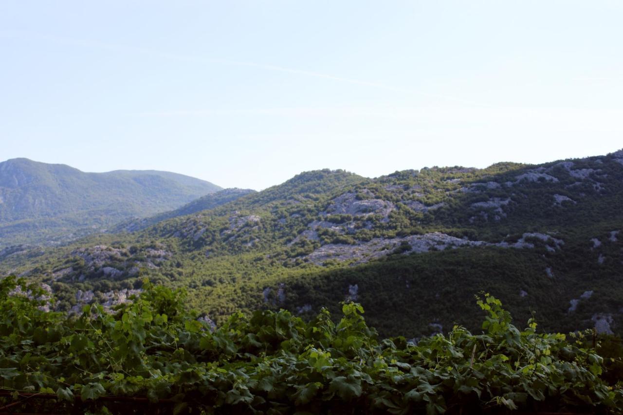 Holiday Home Gazevic Virpazar Extérieur photo