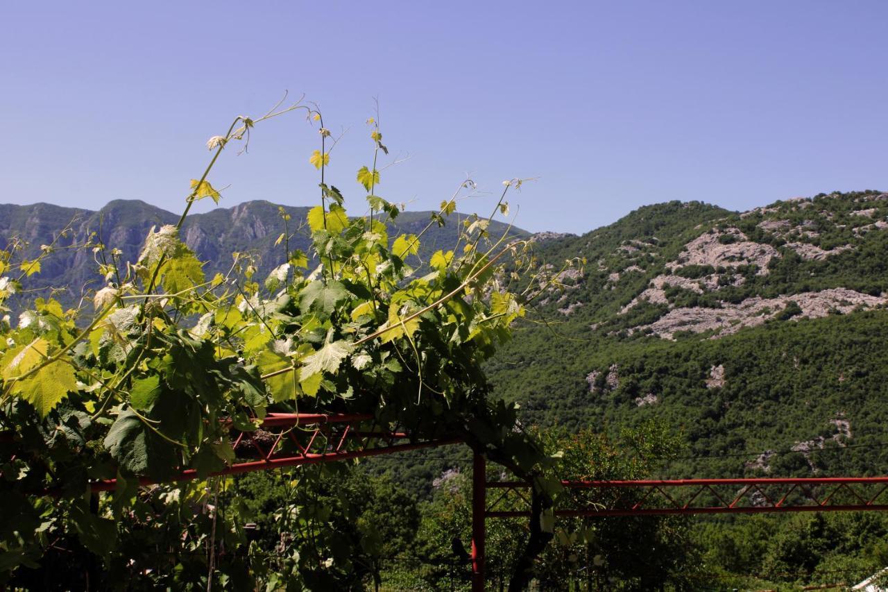 Holiday Home Gazevic Virpazar Extérieur photo
