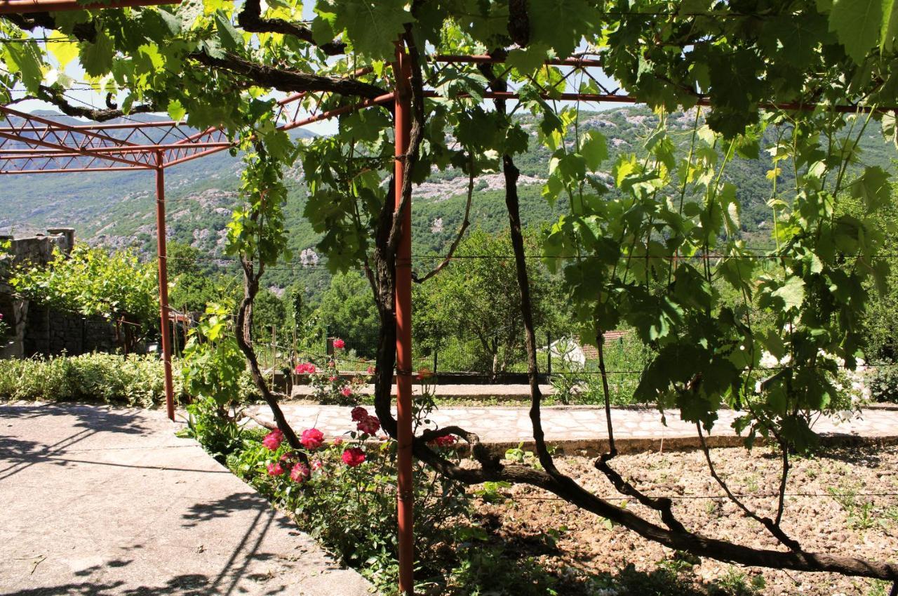Holiday Home Gazevic Virpazar Extérieur photo
