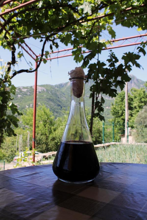 Holiday Home Gazevic Virpazar Extérieur photo